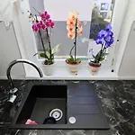 Apartament Donat Zadar